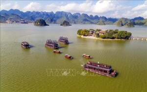 tam coc 030720 4 1