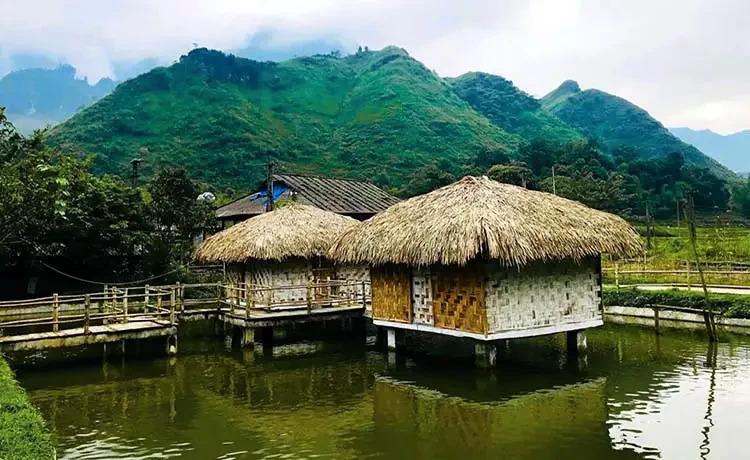 Check Ngay Kinh Nghiệm Tour Du Lịch Hà Giang 5 Check Ngay Kinh Nghiệm Tour Du Lịch Hà Giang