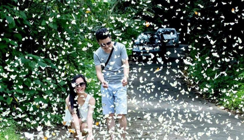 Du lịch Ninh Bình 2 Ngày 1 Đêm Giá Rẻ Bất Ngờ 4 Du lịch Ninh Bình 2 Ngày 1 Đêm Giá Rẻ Bất Ngờ