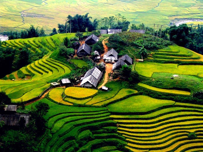 Tour Sapa 4 Đêm 3 Ngày Trọn Gói Vi Vu Thả Ga Không Lo Về Giá