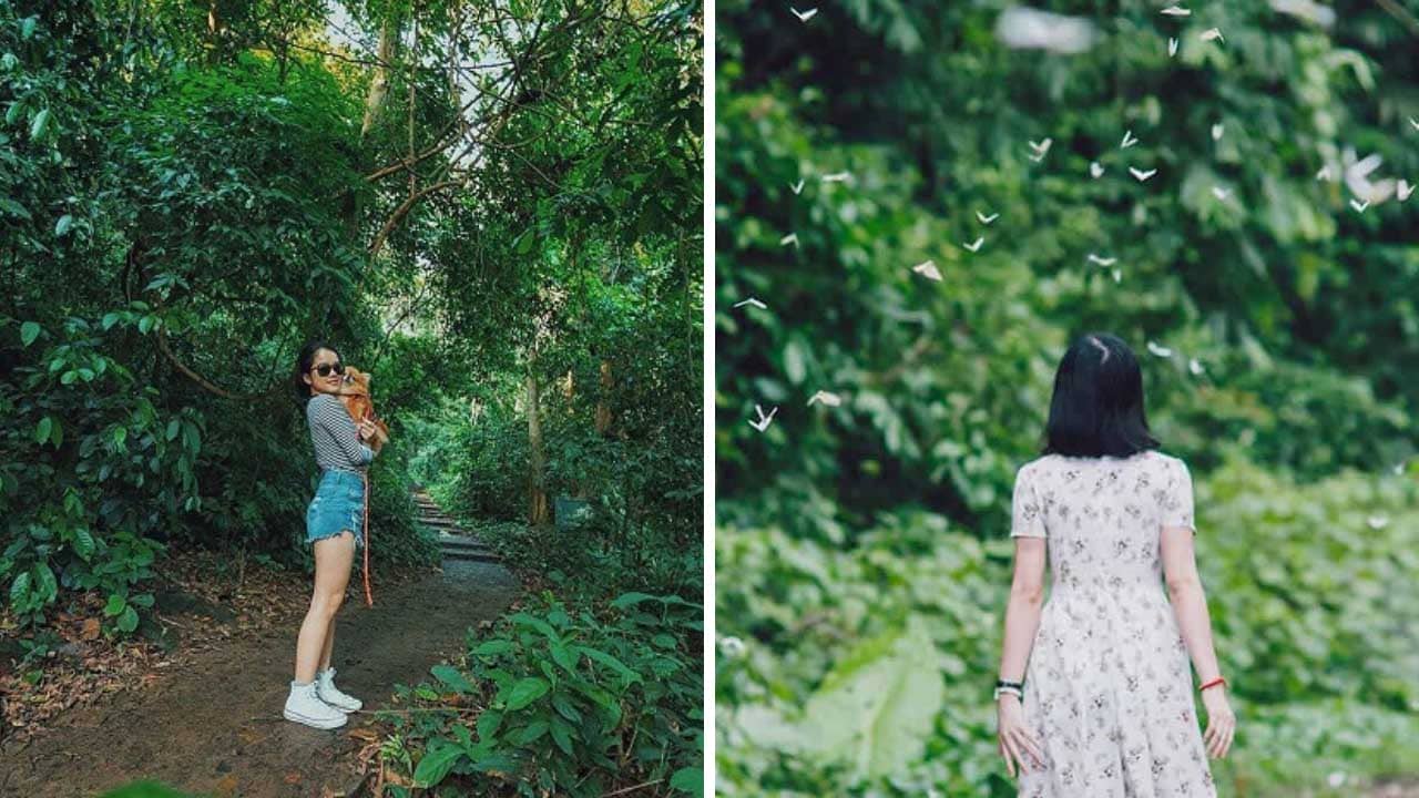 Du lịch Ninh Bình 2 Ngày 1 Đêm Giá Rẻ Bất Ngờ 5 Du lịch Ninh Bình 2 Ngày 1 Đêm Giá Rẻ Bất Ngờ