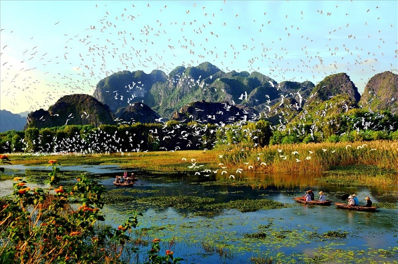 Trải nghiệm du lịch Đầm Vân Long bằng thuyền – Lạc bước giữa chốn thần tiên
