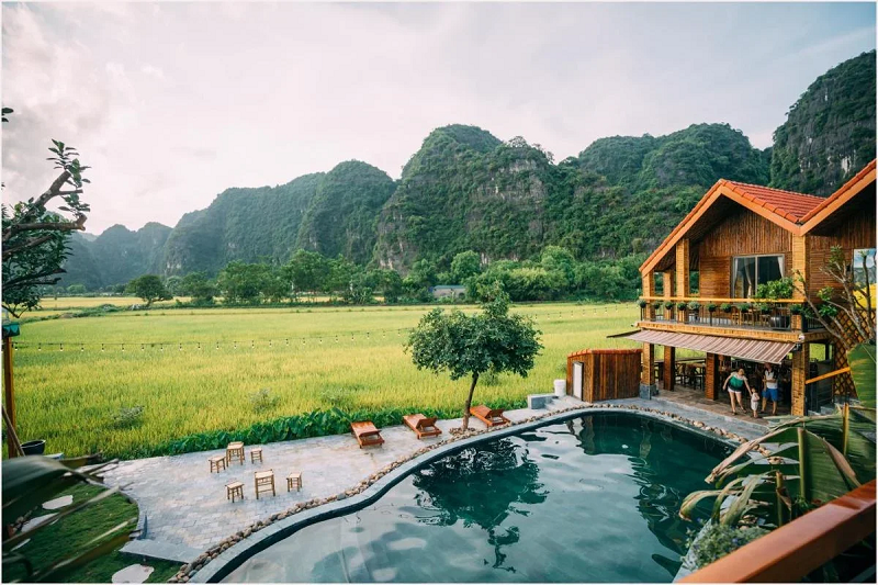 Vietgoing Die2307043236